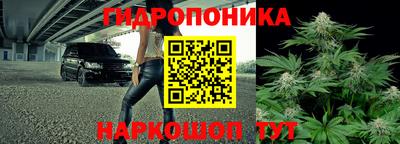 синтетический гашиш Заводоуковск